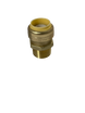 Push-to-Connect  3/4 Inch x 3/4 Inch Male Adapter