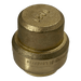 3/4 inch Push-to-Connect End Cap
