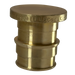 3/4 Inch Pex-A Expansion Plug, End Cap