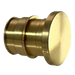 3/4 Inch Pex-A Expansion Plug End Cap