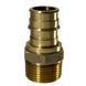 3/4 Inch Pex-A Expansion Male NPT