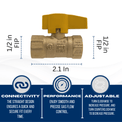 1/2 in FIP Gas Valve
