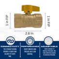 1 in FIP Gas Valve