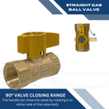 1/2 in FIP Gas Valve