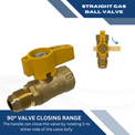 1/2 Inch Flare FIP Gas Ball Valve