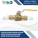 1 Inch x 1 Inch Pex-A Expansion Expansion Ball Valve