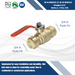 Push-to-Connect 3/4 Inch x 3/4 Inch Ball Valve