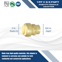 1 inch Push-to-Connect x 3/4 inch Female Adapter
