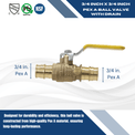 3/4 Inch Pex-A Expansion Ball Valve with Drain