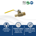 1/2 Inch Pex-A Expansion Male NPT Ball Valve