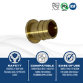 1 Inch Pex-A Expansion Plug End Cap