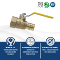 3/4 Inch Pex-A Expansion Female NPT Ball Valve