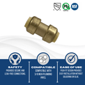 Push-to-Connect 3/8 Inch x 3/8 Inch Coupling