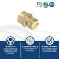 1/2 inch Push-to-Connect x 3/4 inch Female Adapter