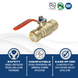 Push-to-Connect 3/4 Inch x 3/4 Inch Ball Valve