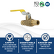 1/2 Inch x 1/2 Inch Pex-A Expansion Ball Valve