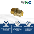 1/2 inch Push-to-Connect x 3/4 inch Male Adapter
