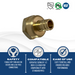 Pex-A Expansion 1/2 Inch x 3/4 Inch Female NPT
