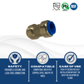 Push-to-Connect 3/4 Inch x 3/4 Inch PB Coupling