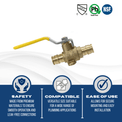 1/2 Inch Pex-A Expansion Ball Valve with Drop Ear
