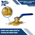 1/2 Inch PEX-B Barb Crimp Ball Valve Hot (Red) and Cold (Blue)
