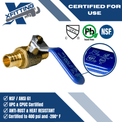 3/4 Inch PEX-B Barb Crimp Ball Valve Cold (Blue)