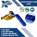 1/2 Inch PEX-B Barb Crimp Ball Valve Cold(Blue)