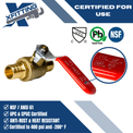 3/4 Inch PEX-B Barb Crimp Ball Valve Hot (Red) and Cold (Blue)