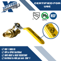 1/2 Inch PEX-B Barb Crimp Ball Valve