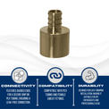 1/2 inch PEX-B Barb x 3/4 inch Female Sweat Adapter