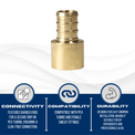 1/2 inch PEX-B Barb x 1/2 inch Female Sweat Adapter