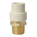 1/2 Inch CPVC X 1/2 Inch MNPT Transition Coupling