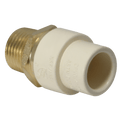 1/2 Inch CPVC X 1/2 Inch MNPT Transition Coupling