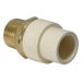 1/2 Inch CPVC X 1/2 Inch MNPT Transition Coupling