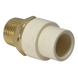 1/2 Inch CPVC X 1/2 Inch MNPT Transition Coupling