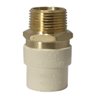 3/4 Inch CPVC X 3/4 Inch MNPT Transition Coupling