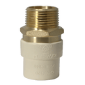 3/4 Inch CPVC X 3/4 Inch MNPT Transition Coupling