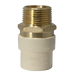 3/4 Inch CPVC X 3/4 Inch MNPT Transition Coupling