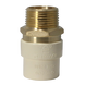 3/4 Inch CPVC X 3/4 Inch MNPT Transition Coupling