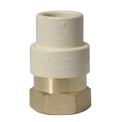 1/2 Inch CPVC x 1/2 Inch FNPT Transition Coupling