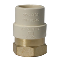 CPVC Transition Coupling | 3/4 Inch CPVC x 3/4 Inch FNPT