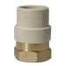 CPVC Transition Coupling | 3/4 Inch CPVC x 3/4 Inch FNPT