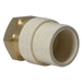 CPVC Transition Coupling | 3/4 Inch CPVC x 3/4 Inch FNPT