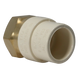 CPVC Transition Coupling | 3/4 Inch CPVC x 3/4 Inch FNPT