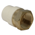 CPVC Transition Coupling | 3/4 Inch CPVC x 3/4 Inch FNPT