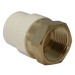 CPVC Transition Coupling | 3/4 Inch CPVC x 3/4 Inch FNPT