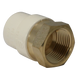 CPVC Transition Coupling | 3/4 Inch CPVC x 3/4 Inch FNPT