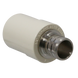 3/4 Inch PEX-B Barb X 3/4 Inch CPVC Transition Coupling