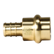 1/2 inch PEX-B Barb Crimp x 1/2 inch Press Coupling
