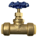 3/4 inch Push-to-Connect Stop Valve with Drain
